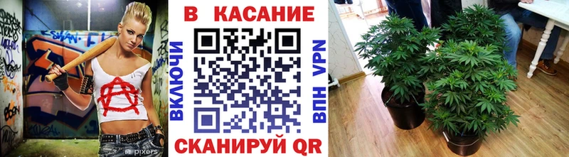 Где найти наркотики Камбарка ГАШ  Alpha-PVP  Меф  Амфетамин  Марихуана 