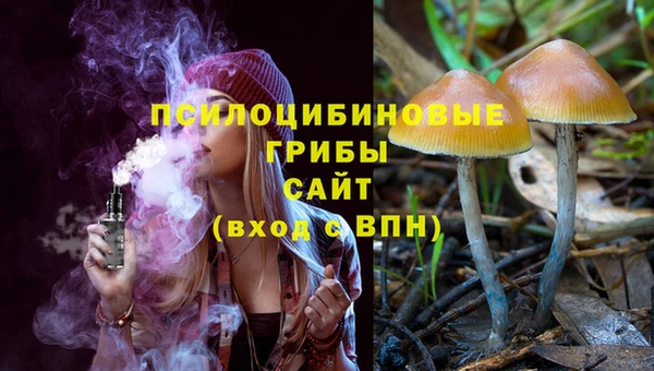 спиды Алексеевка