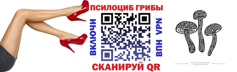 Псилоцибиновые грибы GOLDEN TEACHER  цена наркотик  Камбарка 